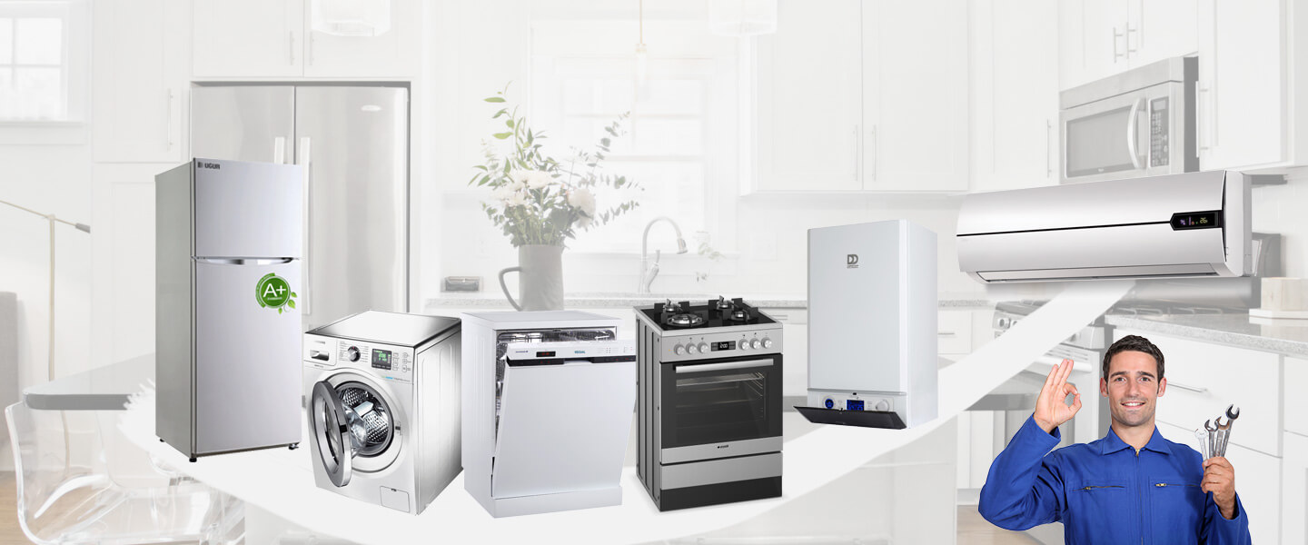 Ayvalık Gaggenau Servisi
